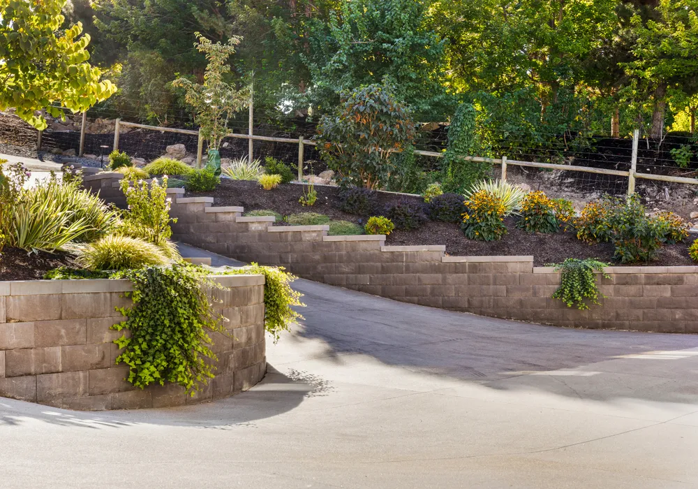 drieway with retaining wall with greenery