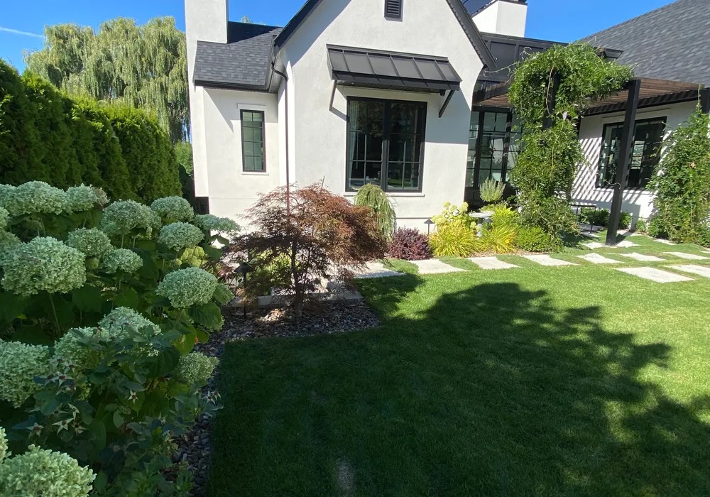 flowers and green grass home