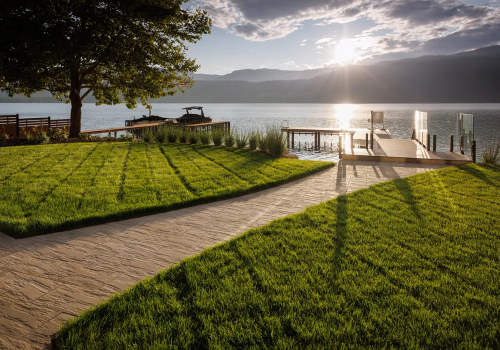 green grass and lakefront