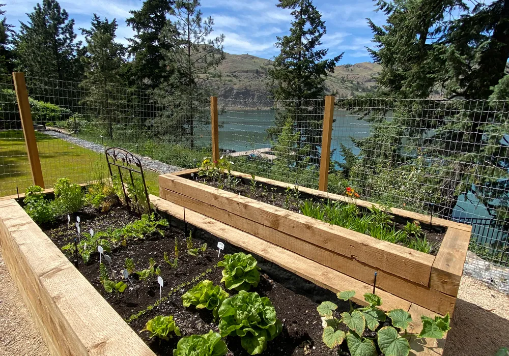 mountain view with raised garden beds