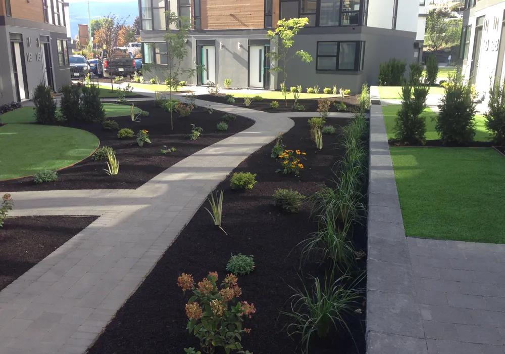 mulch and stone walkway and grasses and hedges