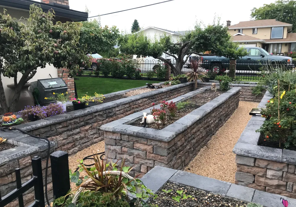 raised garden bed and trees