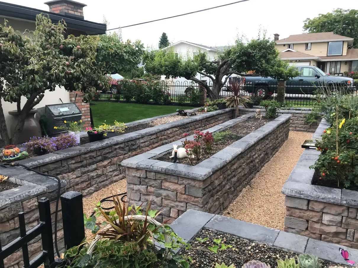 Raised stone garden beds with exotic trees in the background including a green yard